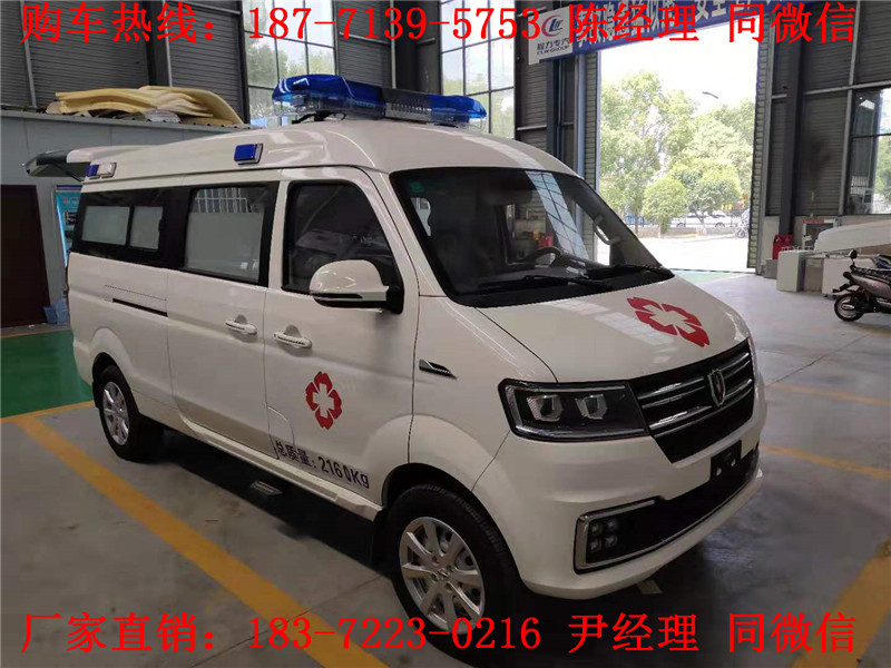 金杯新海獅S救護車（汽油）